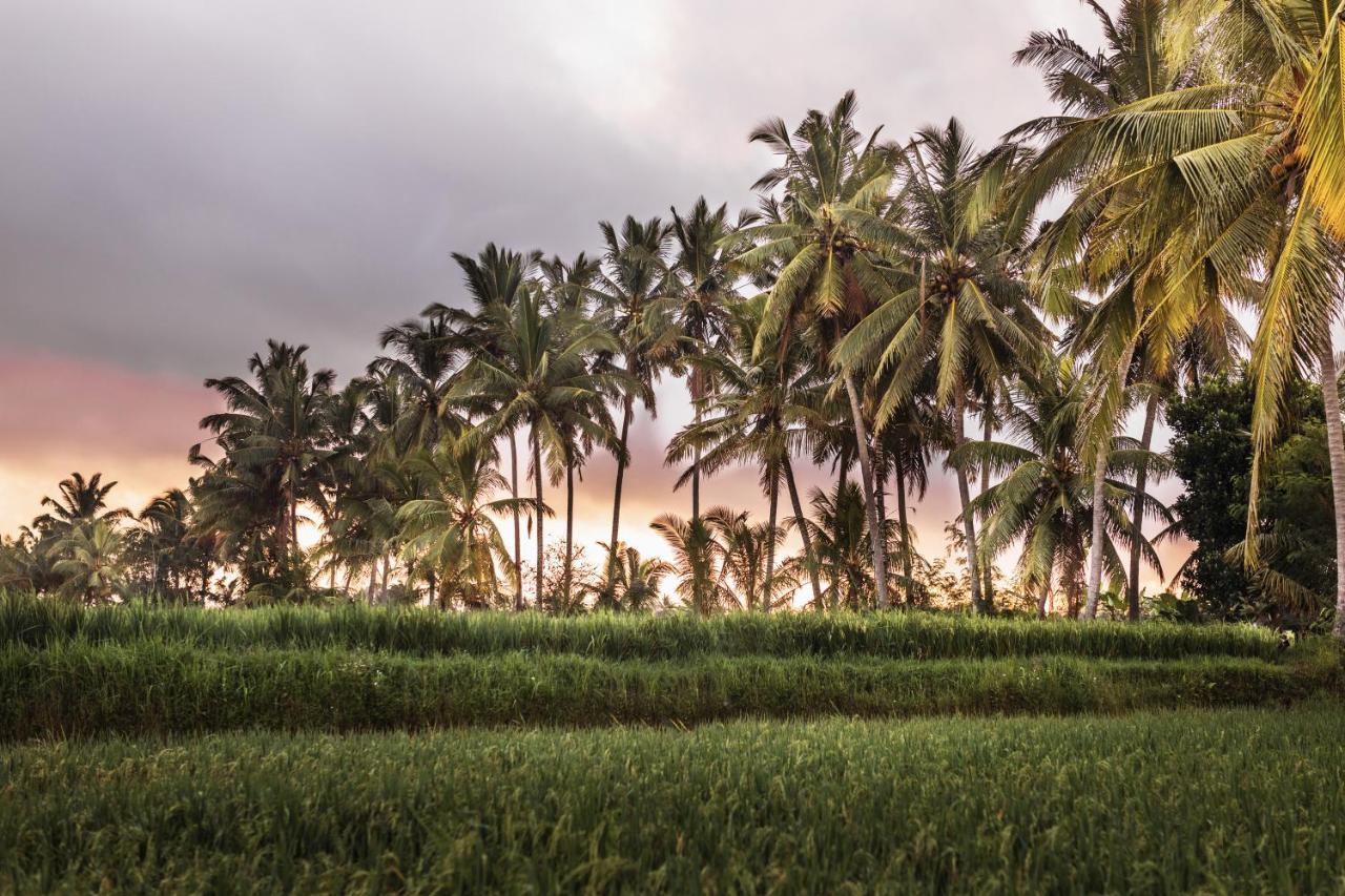 The Luxe Ubud Exterior foto